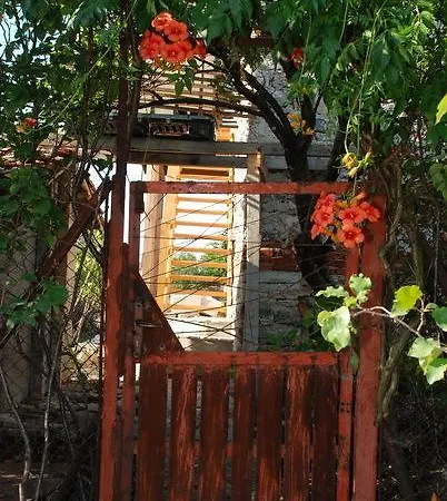 Danchovata Kashta *